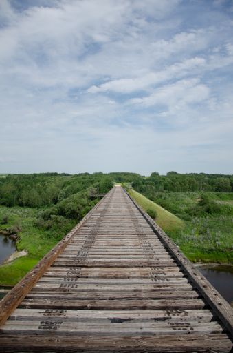 A vertical shot of a long wooden bridge over a lake leading to a lush green forest