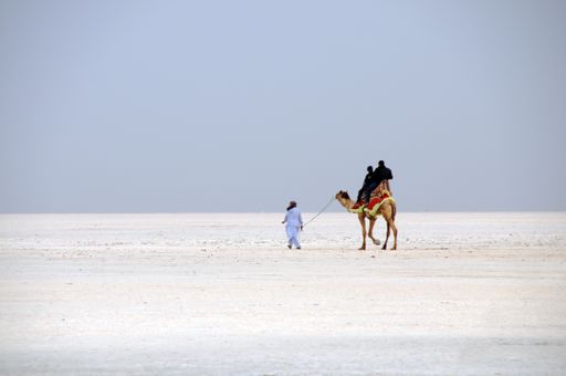 A closeup shot of tourists on a camel with a guide in desert of white salt in Dhordo village, India