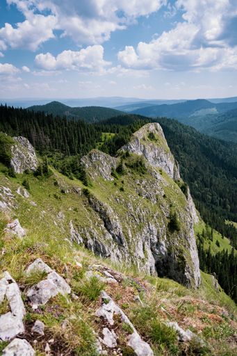 A vertical shot of a vibrant green hill with rocks and thick dark trees on it under a bright cloudy sky