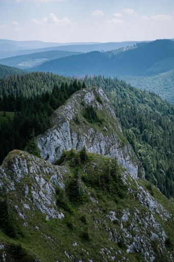 A vertical shot of mossy rocks and thick forests on a mountain range covered by shadow under a bright sky