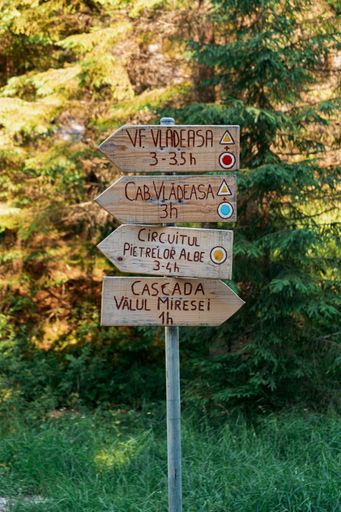 A vertical shot of a direction board with arrows pointing to the Valul Miresei Waterfall in a forest