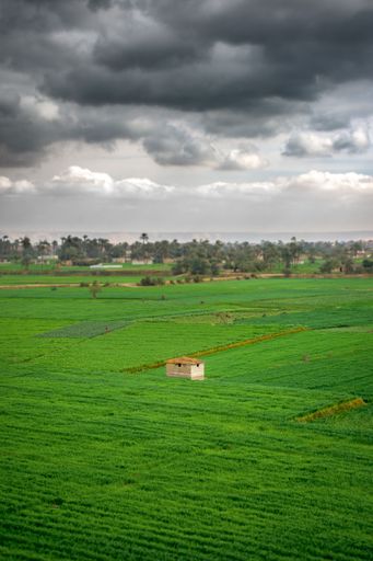 A vertical shot of a large field landscape with a small hut in the middle on a cloudy day