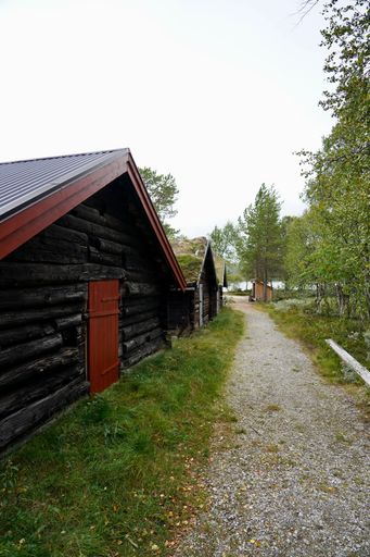 Charming street view in Roros, Norway, showcasing colorful wooden buildings and a tranquil atmosphere.