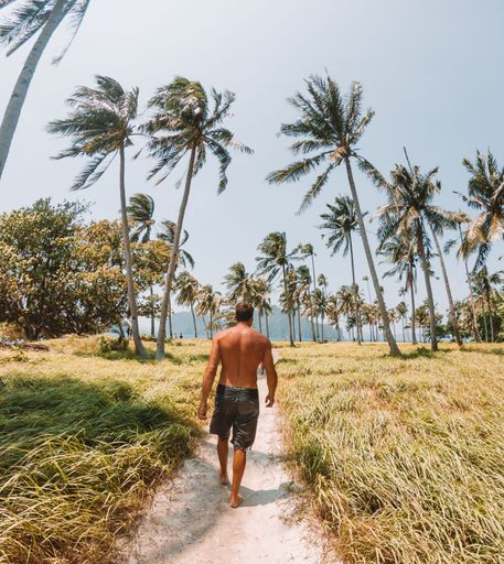 A man walks along a sandy path lined with palm trees under a clear sky, capturing a tropical paradise vibe.