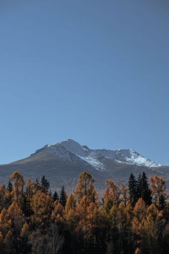 Scenic view of a snow-capped mountain under a clear blue sky, framed by autumnal trees in the foreground.