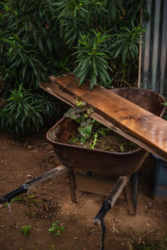 A vertical shot of a metal pot and plants