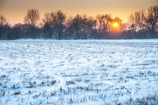 A serene winter landscape with snow-covered field and trees at sunset