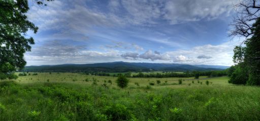 A vast green valley with plants and a blue sky