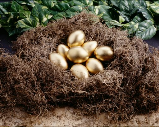 A high angle shot of golden eggs in the nest - great for background
