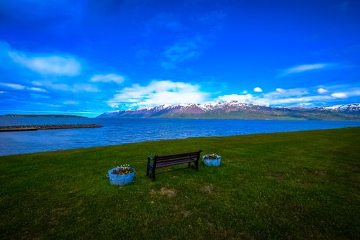 A grassy field with bench in the middle of flower pots with the view of the sea and mountains in the distance