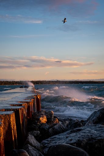 A scenic view of crashing waves against a pier at sunset with a seagull soaring above in a blue sky.