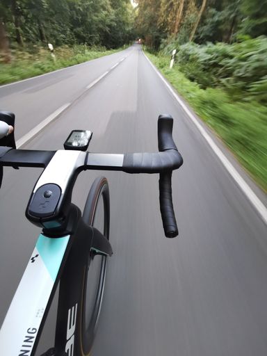 A vertical shot of a road surrounded by trees from a bicycle