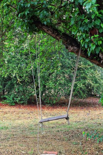 A rustic wooden swing hanging from a leafy tree branch in a peaceful garden setting, evoking nostalgia and tranquility.