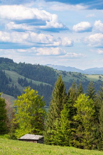 Scenic view of lush green forest and hills under a partly cloudy sky, featuring a small wooden cabin in the foreground.