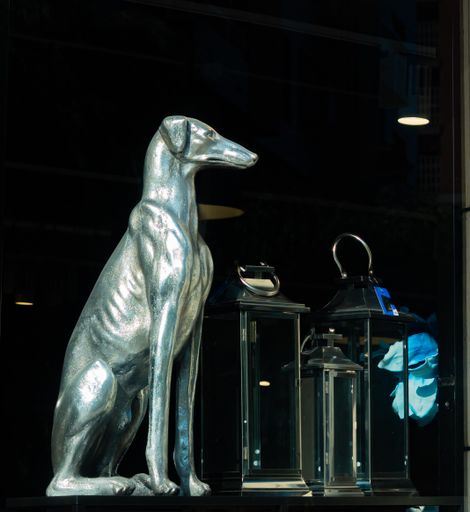A closeup shot of a bronze dog statue displayed in a dark room