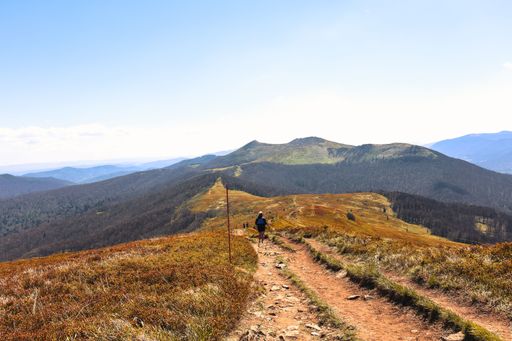 A scenic mountain trail with a lone hiker under a clear blue sky in the Carpathians, showcasing autumn colors and expansive views.