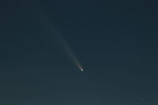 A clear night sky showcasing a bright comet with a visible tail among scattered stars.