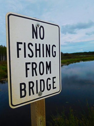A side shot of no fishing from bridge sign in front of a beautiful river