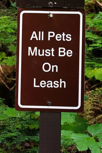 A closeup shot of all pets must be on leash sign with plants in the background