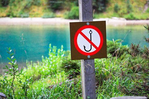 A No Fishing sign next to a lake