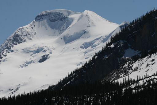Two mountains covered in snow and trees in Banff and Jasper National Parks