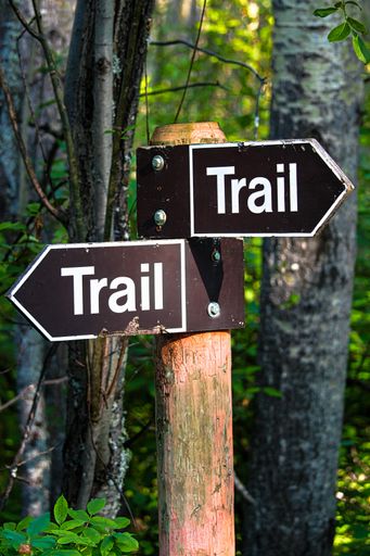 A hiking trail direction sign in the forest