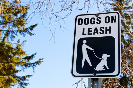 A closeup dogs on leash sign in a public park