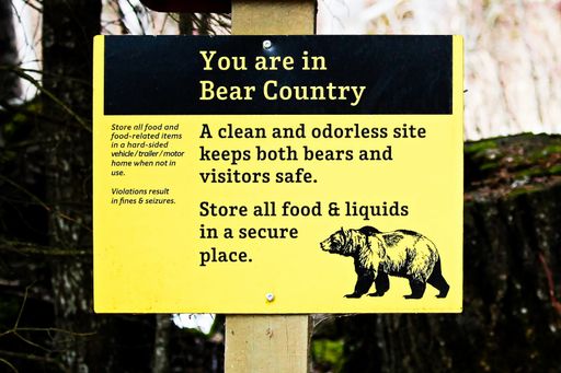 A bear country warning sign in a park