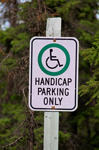 A vertical shot of a "Handicap parking only" sign with trees in the background