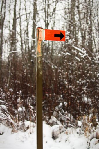 A vertical shot of an orange trail marker sign along a hiking path