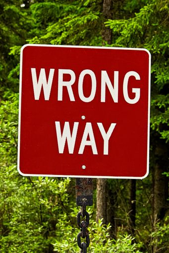 A vertical of a metal red sign with "WRONG WAY" written on it against the greens