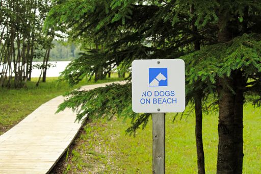 A white metal sign with "NO DOGS ON BEACH" written on it on the grassy field