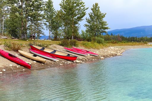 The kayaks and canoes on the side of the lake surrounded by greens in Canada