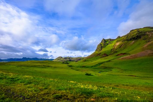 A beautiful shot of a grassy field with yellow flowers near mountains under a cloudy sky