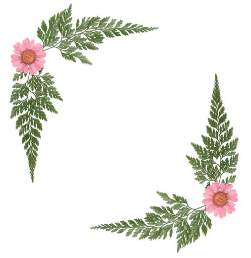 A vertical shot of a floral frame on a white background