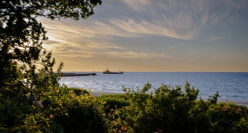 Scenic view of the sea with lush greenery in the foreground and a distant ship under a dramatic sky at sunset.