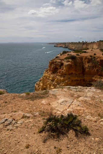 A scenic view of the Ponta da Piedade cliffs in Lagos, Portugal, with blue waters and rock formations