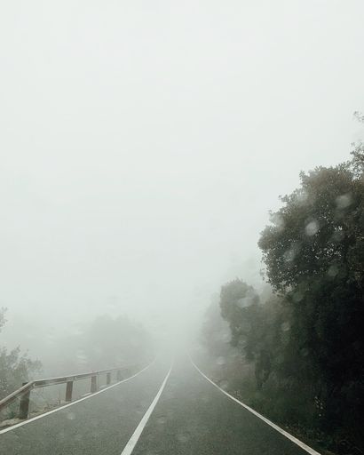 A vertical shot of a street covered with fog