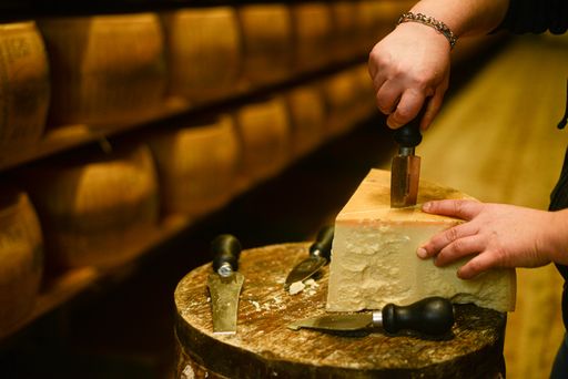 A cheese master cutting a parmesan cheese wheel at the dairy