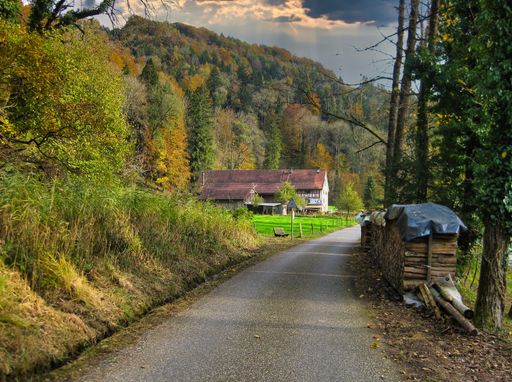 A narrow path in the rural area between forests in autumn