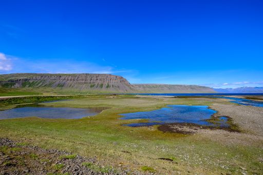 A grassy field with small ponds near the water with mountains in the distance under a clear blue sky