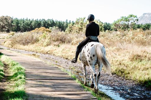 A woman riding a spotted horse along a wooden path through a lush forest landscape