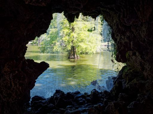 View from a cave opening to a serene lake with a lone tree, sunlight illuminating the water.