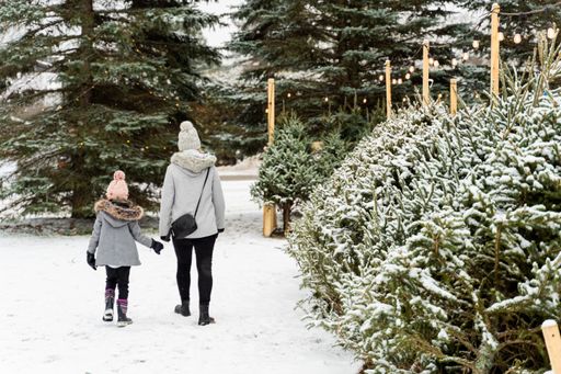 A rear view of a woman and a girl walking in a park in winter
