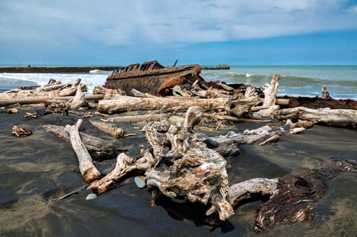 Driftwood scattered on a sandy beach with a rusty shipwreck in the background under a clear blue sky.