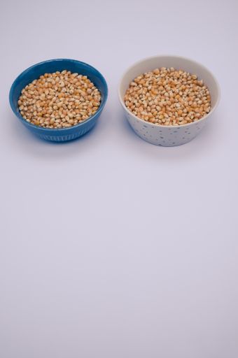 A vertical shot of corn grains on bowls isolated on light gray background