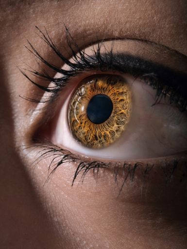 A closeup shot of a beautiful eye of a woman