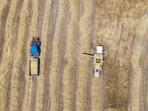 The Aerial view of a yellow harvester and a blue tractor working in a cereal field