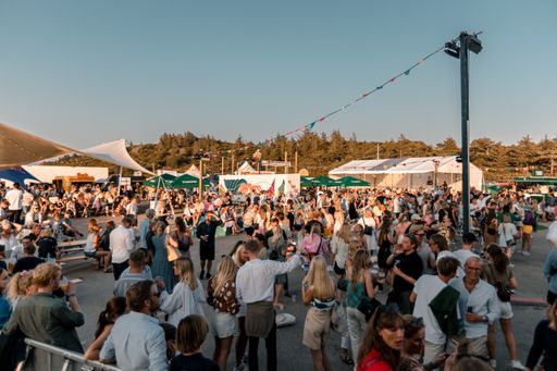 A crowd of young people during a Music Festival in Tisvildelej, Denmark