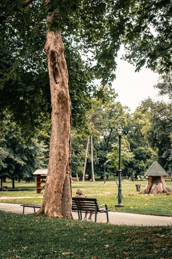 A serene park scene with a young child sitting on a bench under a large tree, surrounded by lush greenery and a lamp post.